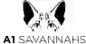 Savannah Kittens For Sale